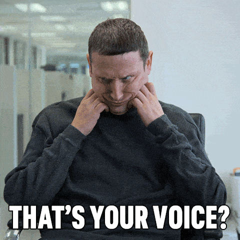 Animated GIF from the Netflix show "I Think You Should Leave" with Tim Robinson looking flabbergasted with the caption "That's your voice?"