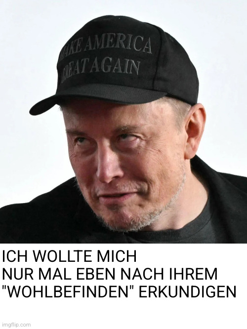 Elon Musk mit einem gruseligen Gesichtsausdruck. Das Bild ist mit dem Text "Ich wollte mich nur eben nach ihrem Wohlbefinden erkundigen" unterschrieben.