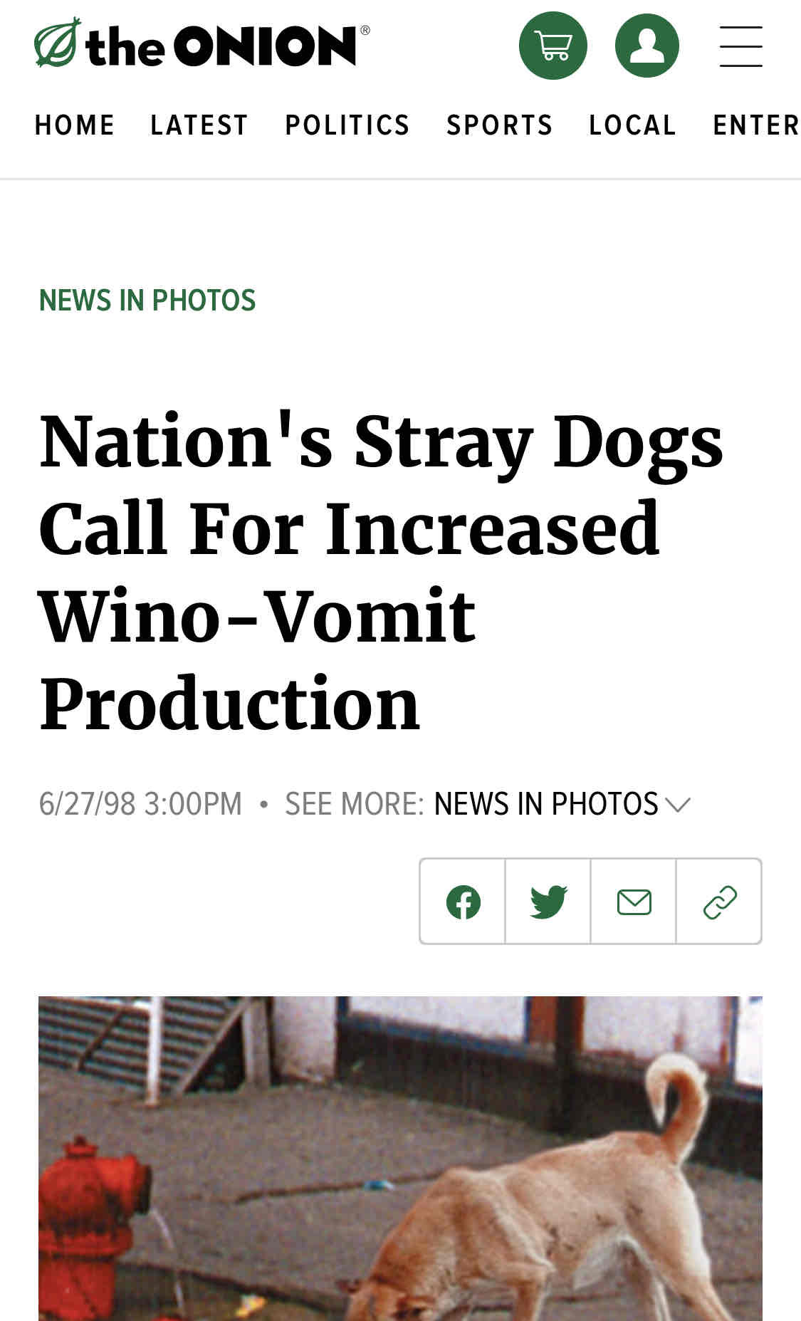 Nation's Stray Dogs Call For Increased Wino-Vomit Production