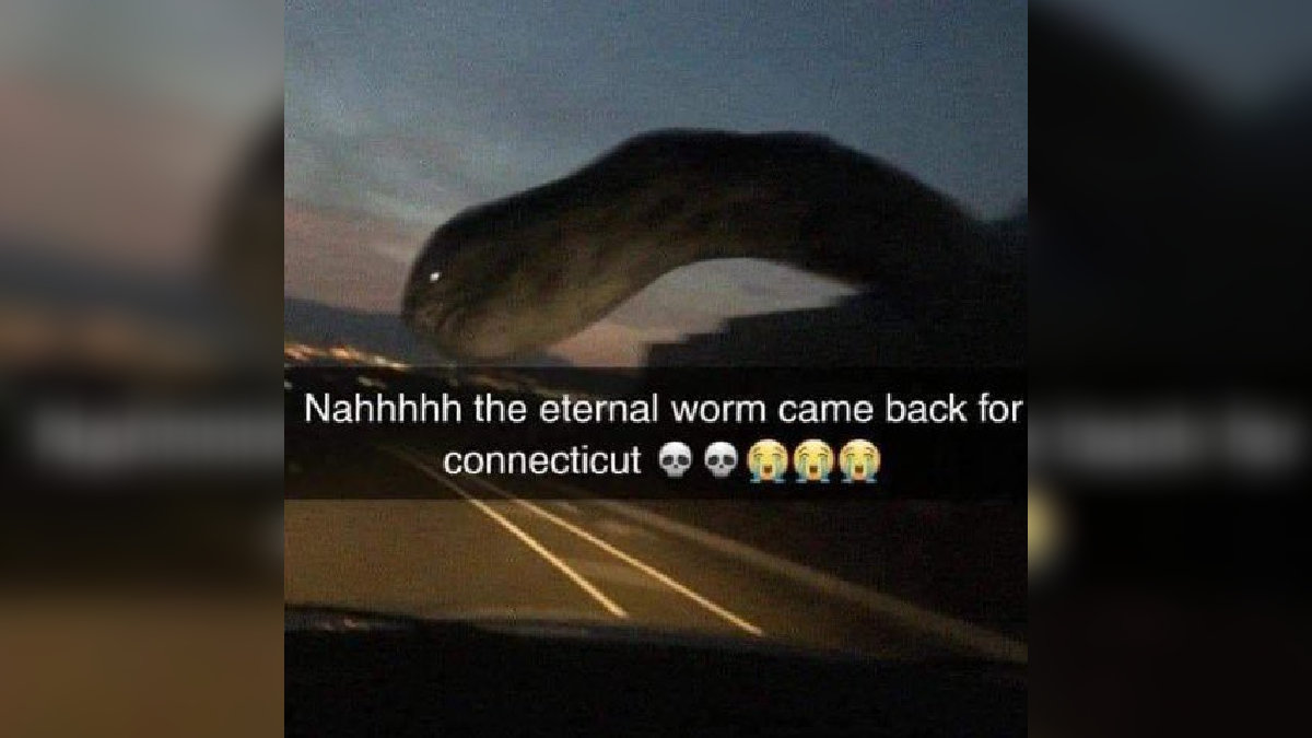 a giant snake creature descending on a city at twilight, picture taken from inside a car